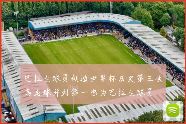 巴拉圭球员创造世界杯历史第三快乌龙球并列第一也为巴拉圭球员